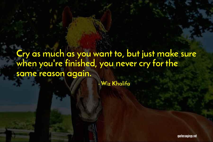 I Will Never Cry Again Quotes By Wiz Khalifa