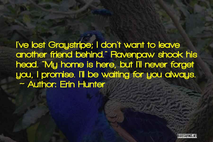 I Will Never Forget You Friend Quotes By Erin Hunter