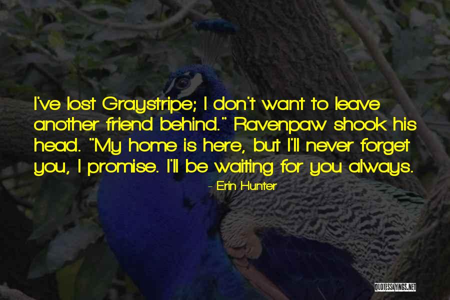 I Will Never Forget You Friend Quotes By Erin Hunter