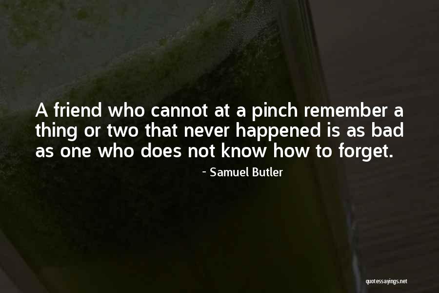 I Will Never Forget You Friend Quotes By Samuel Butler