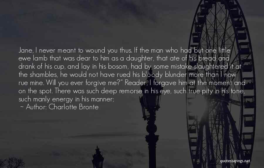 I Will Never Forgive You Quotes By Charlotte Bronte