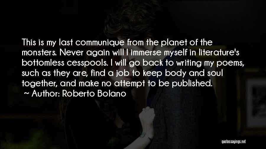 I Will Never Go Back Quotes By Roberto Bolano