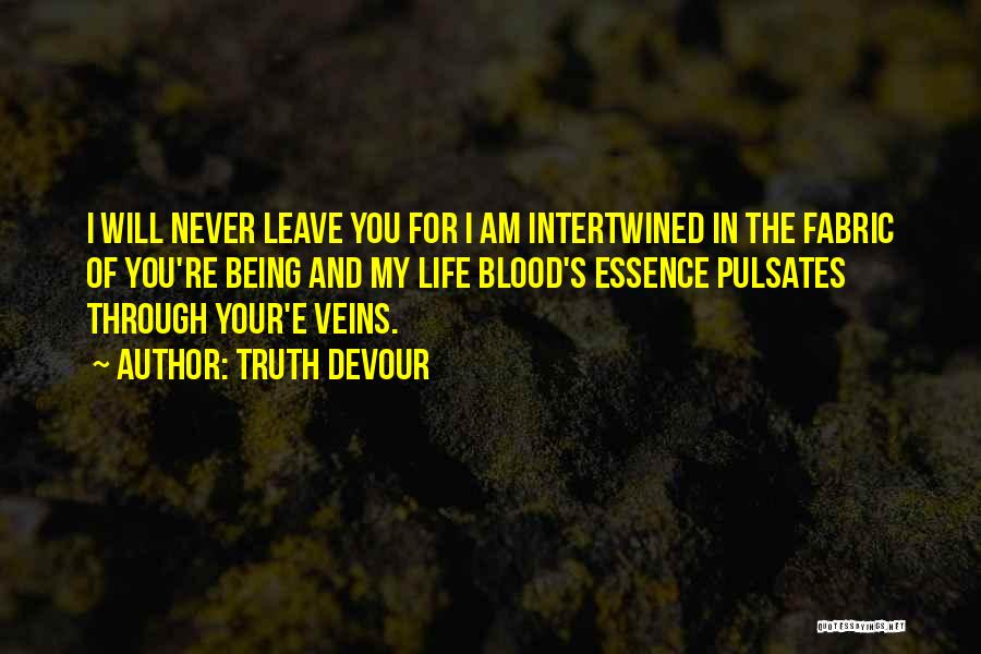 I Will Never Leave You Quotes By Truth Devour