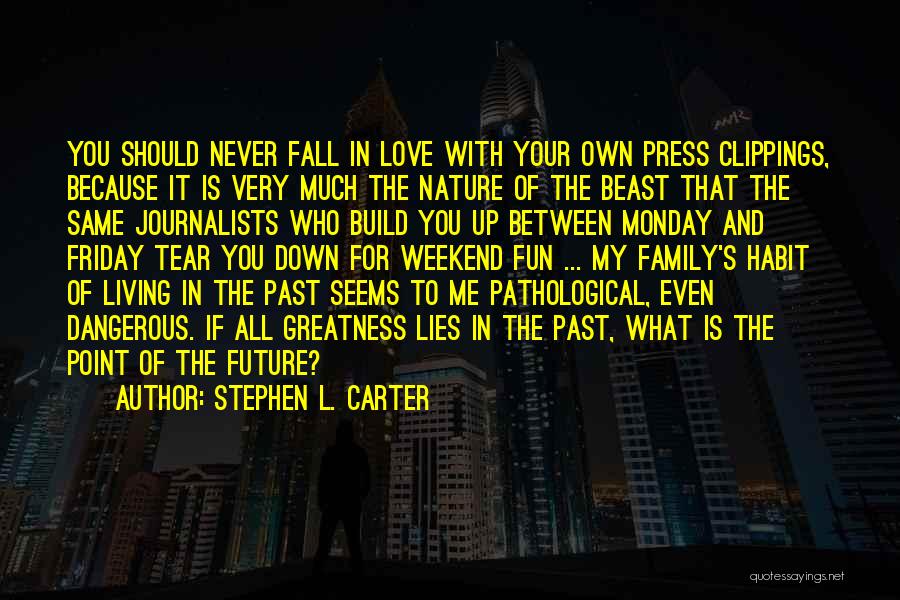 I Will Never Let You Fall Quotes By Stephen L. Carter