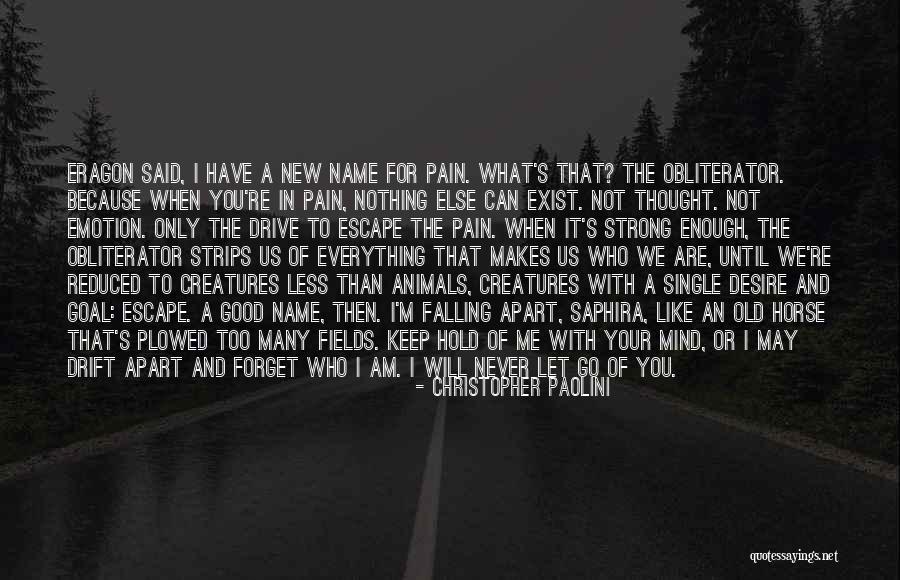 I Will Never Let You Go Quotes By Christopher Paolini I Will Never Let You Go Quotes By Christopher Paolini