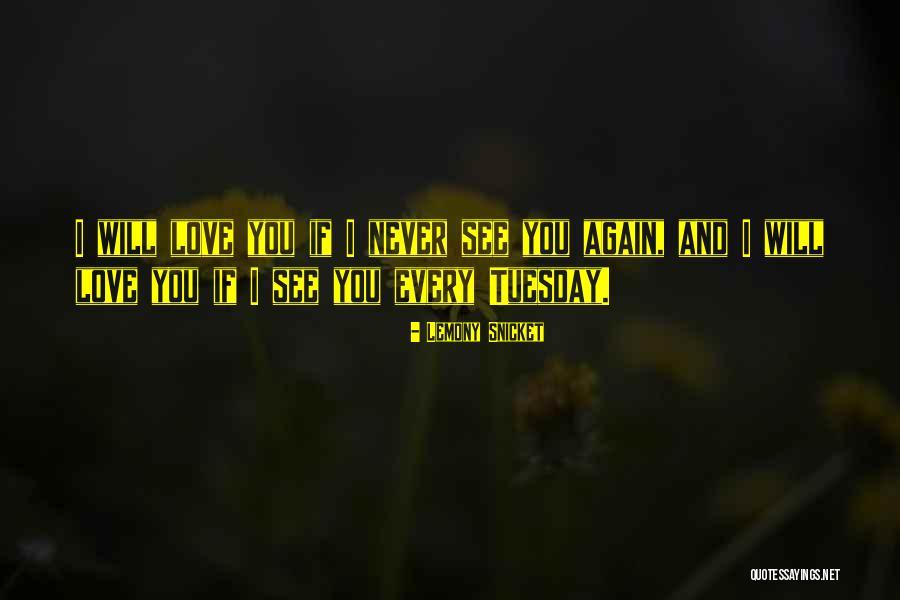 I Will Never Love You Again Quotes By Lemony Snicket I Will Never Love You Again Quotes By Lemony Snicket