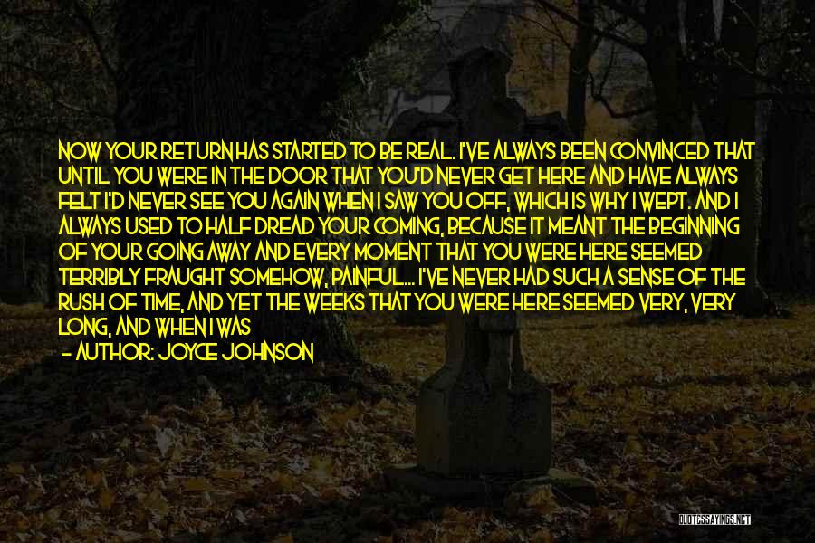 I Will Never See You Again Quotes By Joyce Johnson