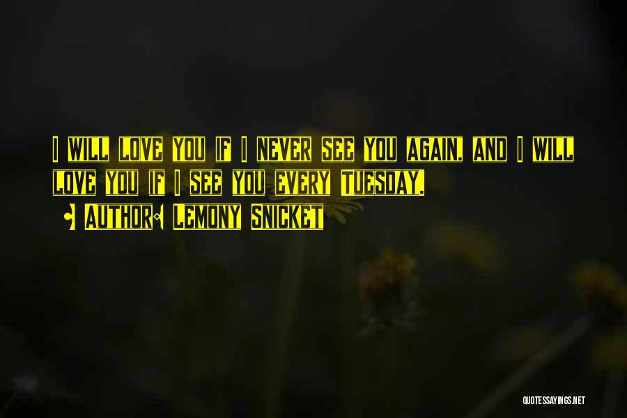 I Will Never See You Again Quotes By Lemony Snicket