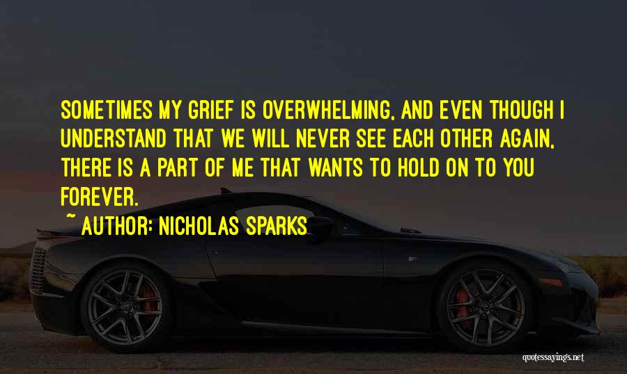 I Will Never See You Again Quotes By Nicholas Sparks