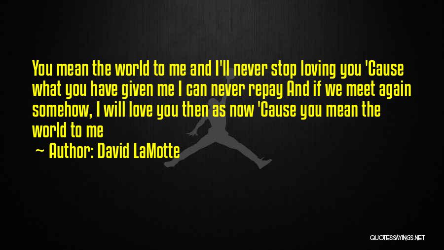 I Will Never Stop Loving You Quotes By David LaMotte