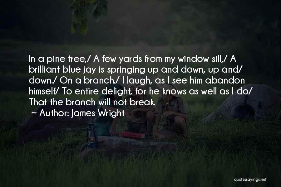 I Will Not Break Down Quotes By James Wright