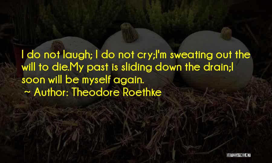 I Will Not Cry Again Quotes By Theodore Roethke