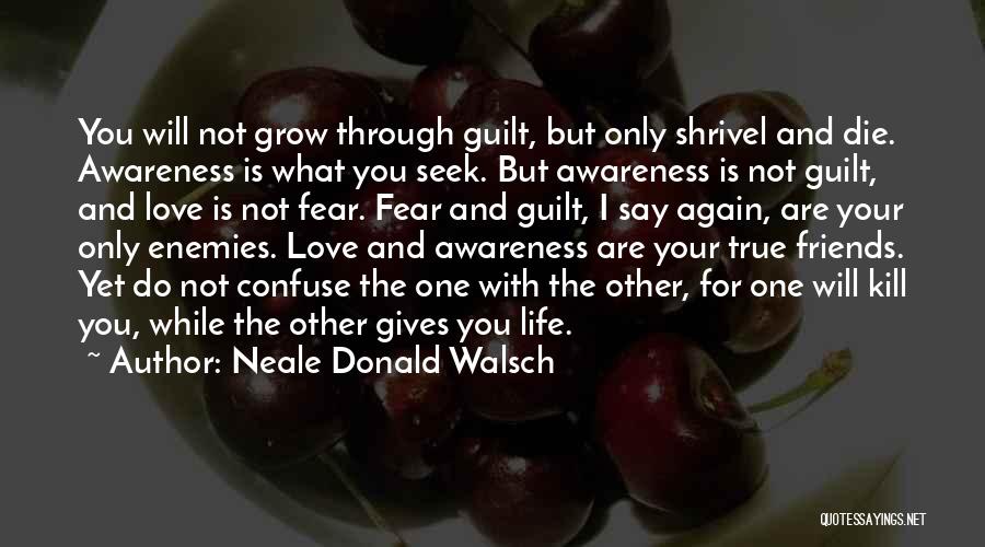I Will Not Fear Quotes By Neale Donald Walsch
