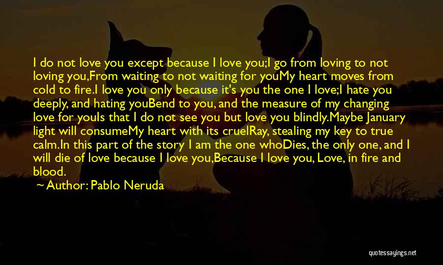 I Will Not Hate Quotes By Pablo Neruda
