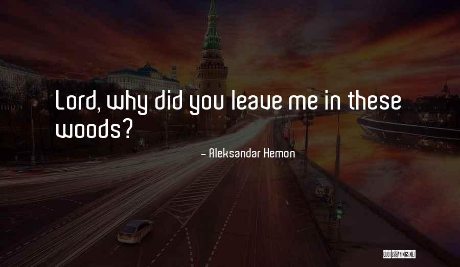I Will Not Leave U Quotes By Aleksandar Hemon I Will Not Leave U Quotes By Aleksandar Hemon