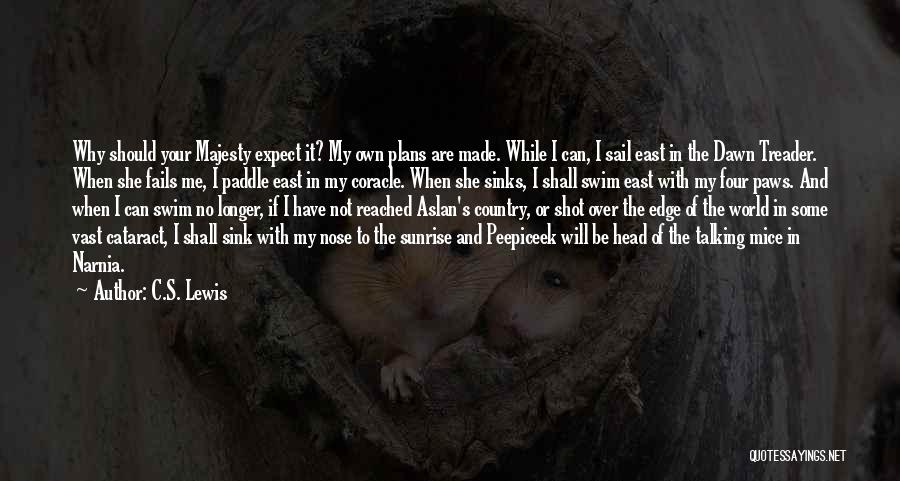 I Will Not Sink Quotes By C.S. Lewis