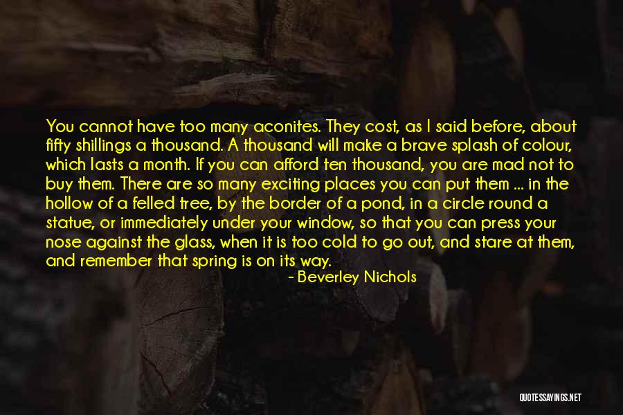 I Will Press On Quotes By Beverley Nichols I Will Press On Quotes By Beverley Nichols