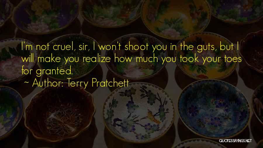 I Will Shoot You Quotes By Terry Pratchett
