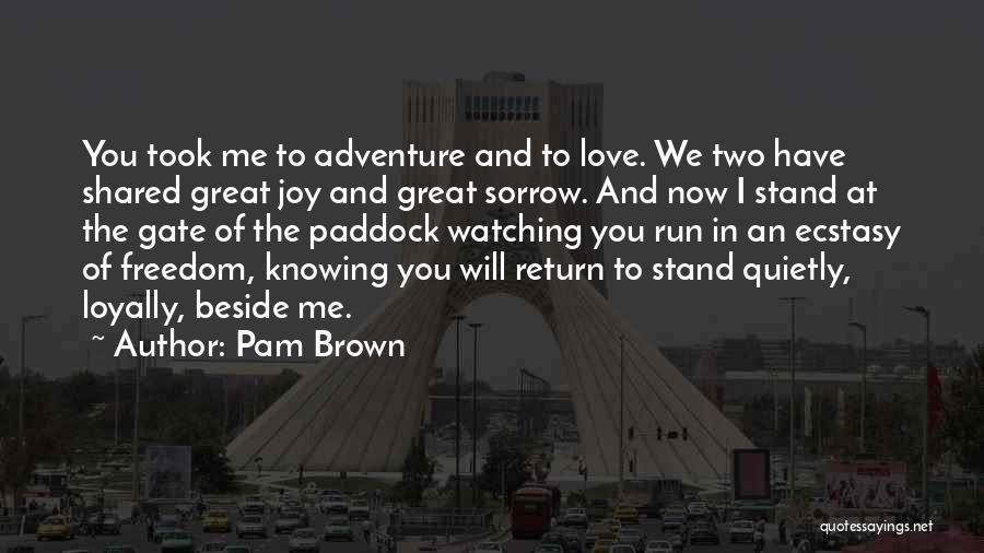 I Will Stand Beside You Quotes By Pam Brown