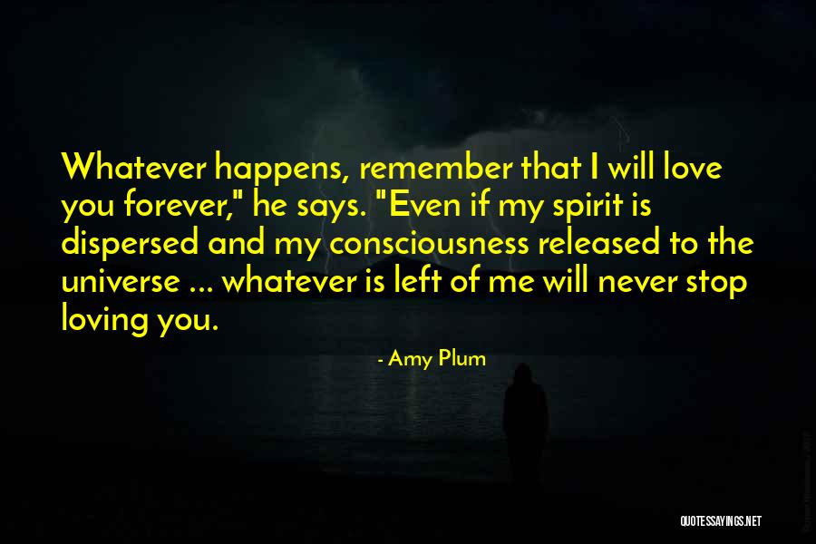 I Will Stop Loving You Quotes By Amy Plum