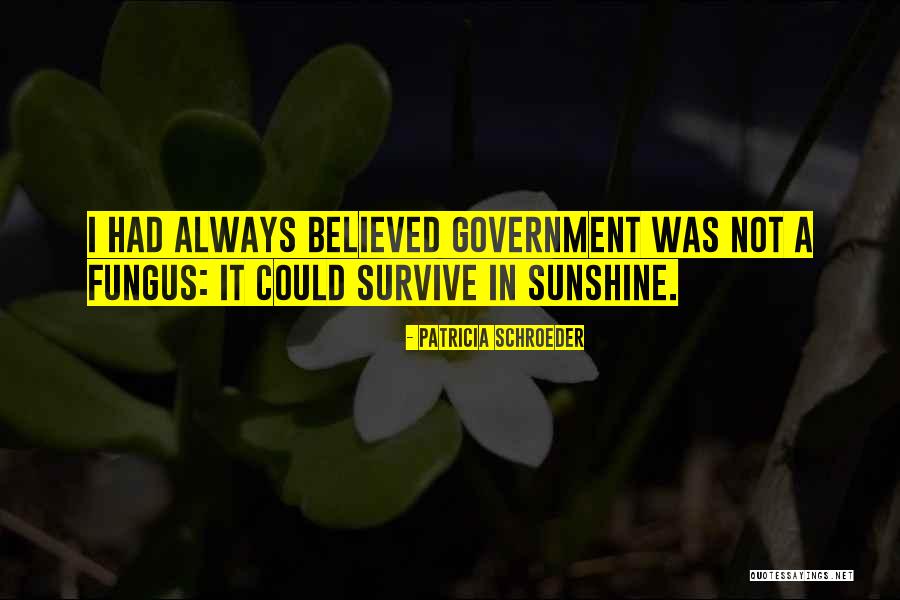 I Will Survive Without You Quotes By Patricia Schroeder I Will Survive Without You Quotes By Patricia Schroeder