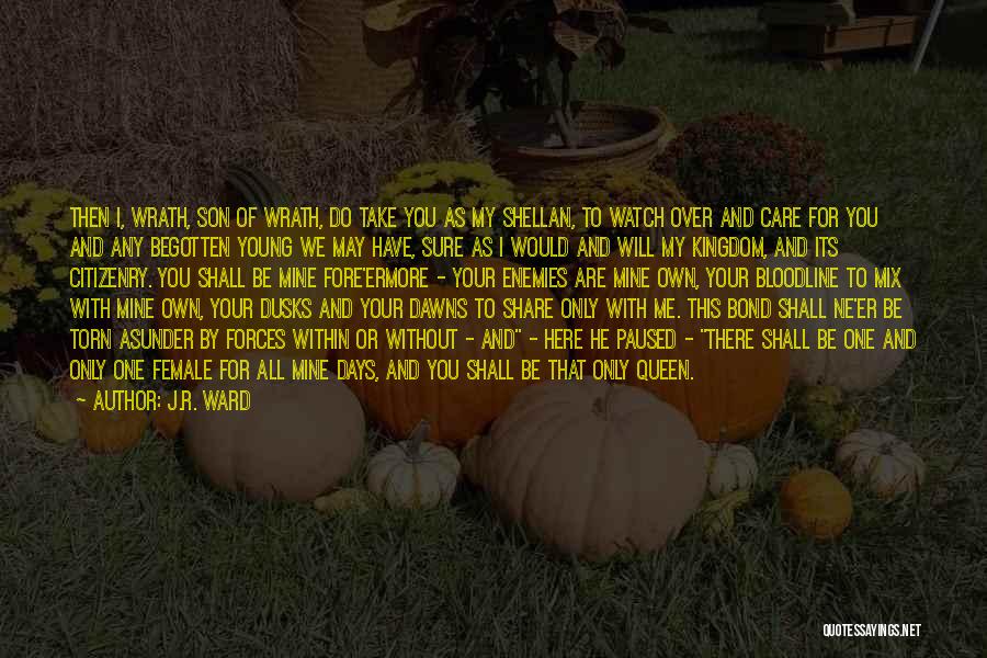 I Will Take Care You Quotes By J.R. Ward