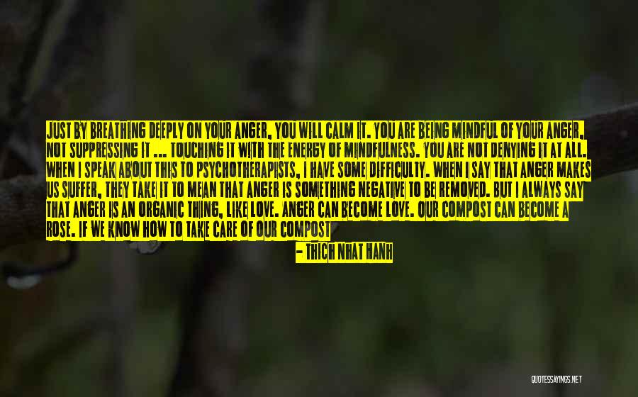 I Will Take Care You Quotes By Thich Nhat Hanh