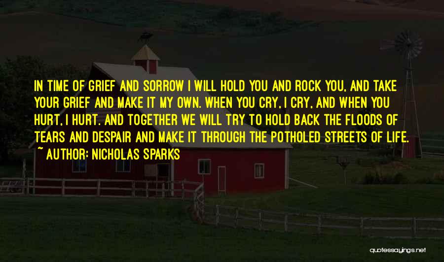 I Will Take You Back Quotes By Nicholas Sparks