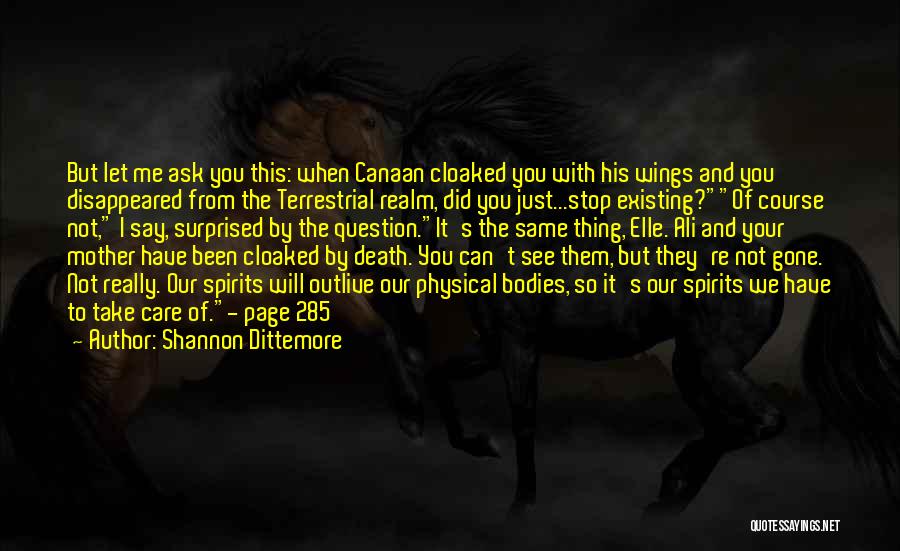 I Will Take You With Me Quotes By Shannon Dittemore