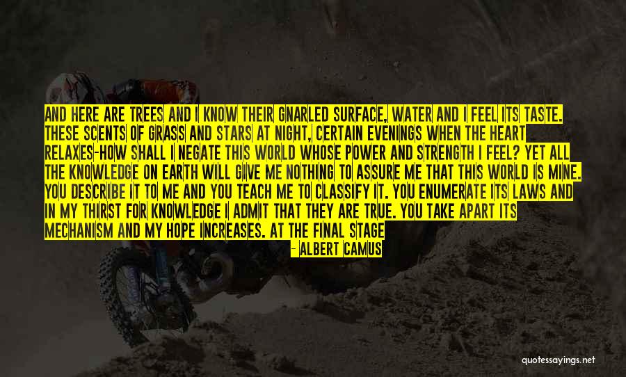 I Will Wait Quotes By Albert Camus I Will Wait Quotes By Albert Camus