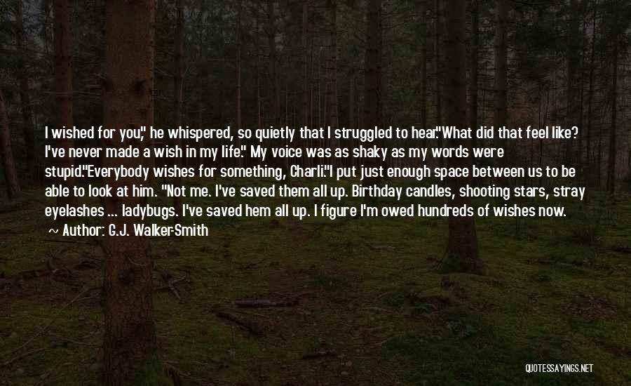 I Wish Birthday Quotes By G.J. Walker-Smith