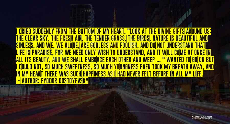 I Wish Happiness Quotes By Fyodor Dostoyevsky