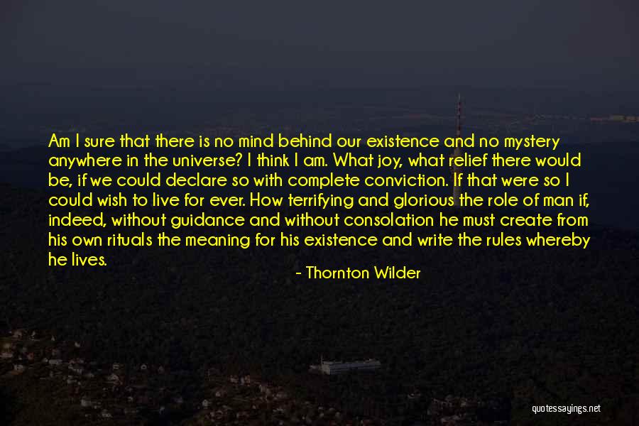 I Wish He Would Quotes By Thornton Wilder