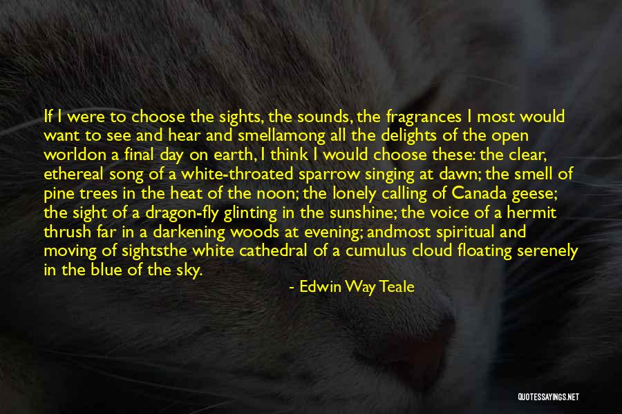 I Wish I Could Fly Quotes By Edwin Way Teale I Wish I Could Fly Quotes By Edwin Way Teale