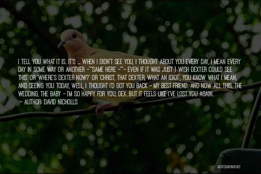 I Wish I Didn't Know You Quotes By David Nicholls