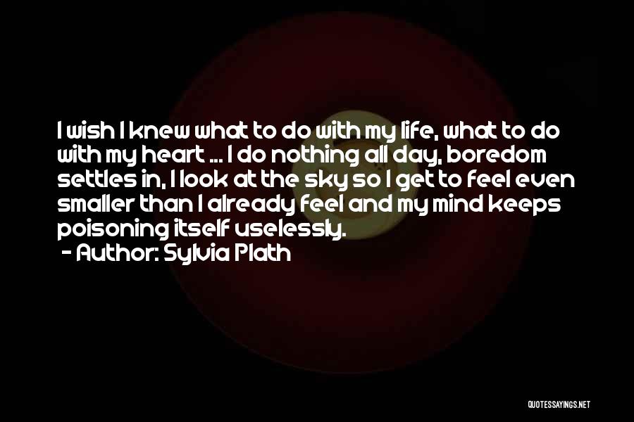 I Wish I Knew Quotes By Sylvia Plath