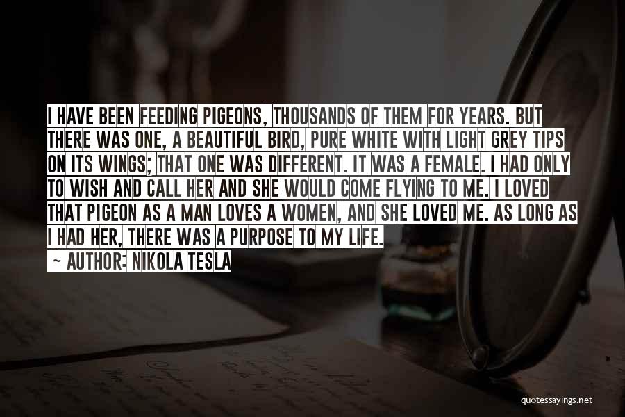 I Wish I Was Loved Quotes By Nikola Tesla