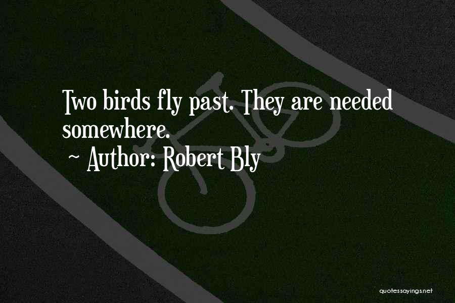 Top 46 I Wish I Were A Bird Quotes Sayings