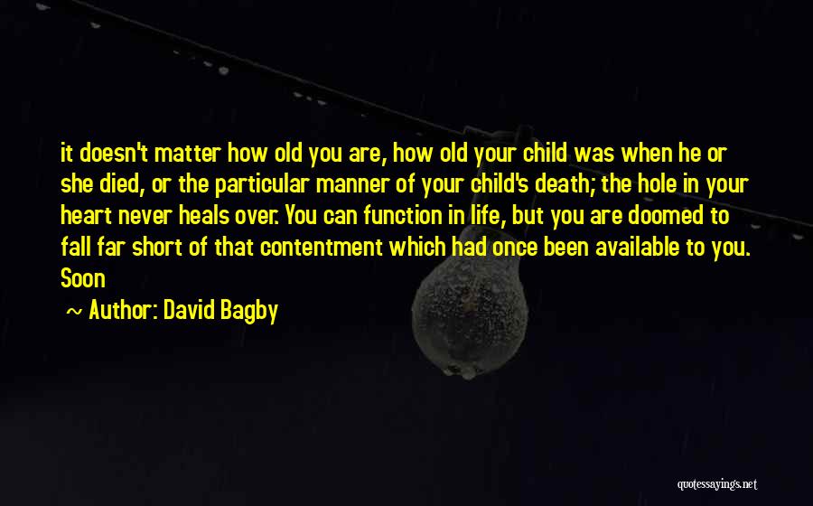 I Wish I Were A Child Quotes By David Bagby