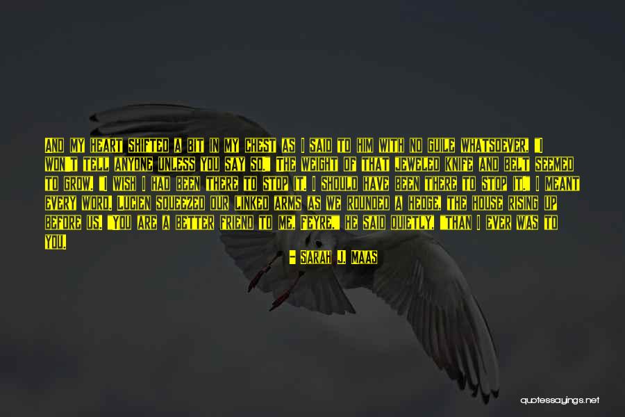 I Wish It Was Me And You Quotes By Sarah J. Maas I Wish It Was Me And You Quotes By Sarah J. Maas