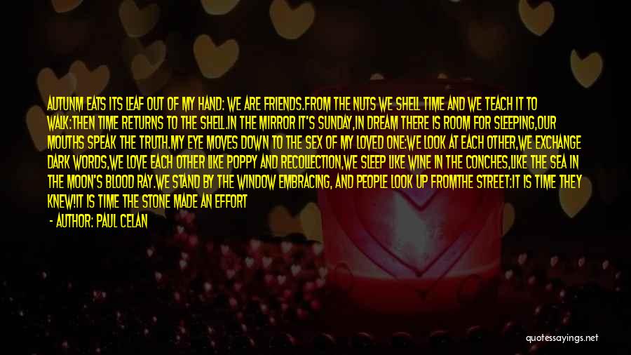 I Wish My Heart Was Made Of Stone Quotes By Paul Celan