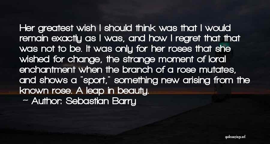 I Wish She Would Quotes By Sebastian Barry