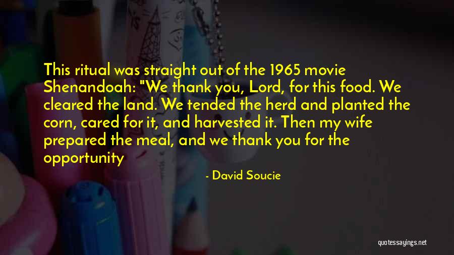 I Wish Someone Cared Quotes By David Soucie I Wish Someone Cared Quotes By David Soucie