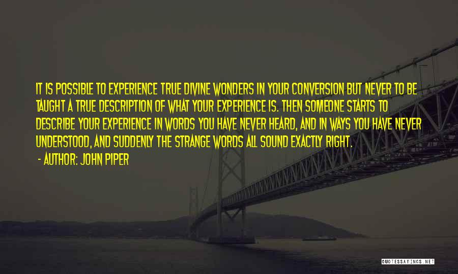 I Wish Someone Understood Me Quotes By John Piper