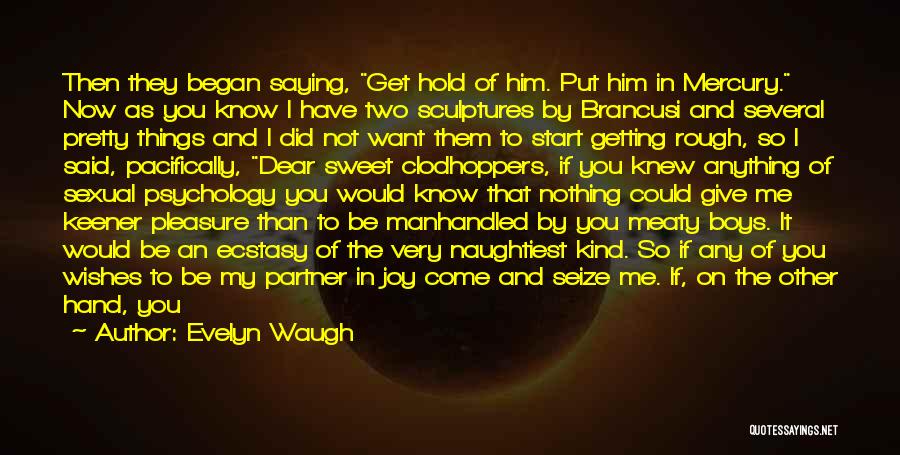 I Wish To Hold You Quotes By Evelyn Waugh