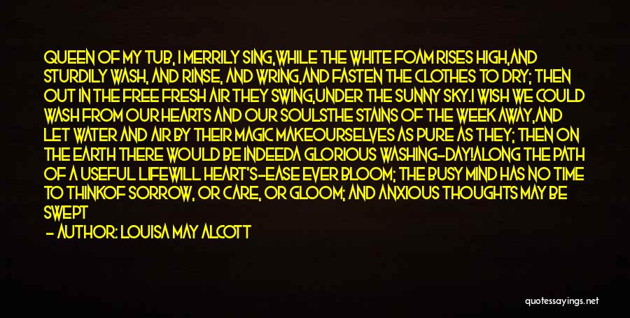 I Wish We Could Work It Out Quotes By Louisa May Alcott
