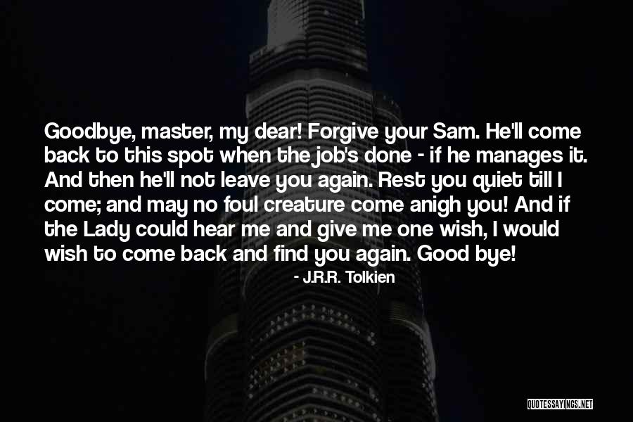I Wish You Could Forgive Me Quotes By J.R.R. Tolkien I Wish You Could Forgive Me Quotes By J.R.R. Tolkien