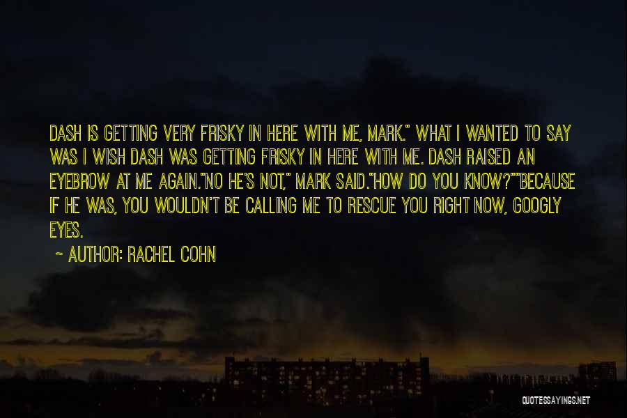 I Wish You Here Quotes By Rachel Cohn