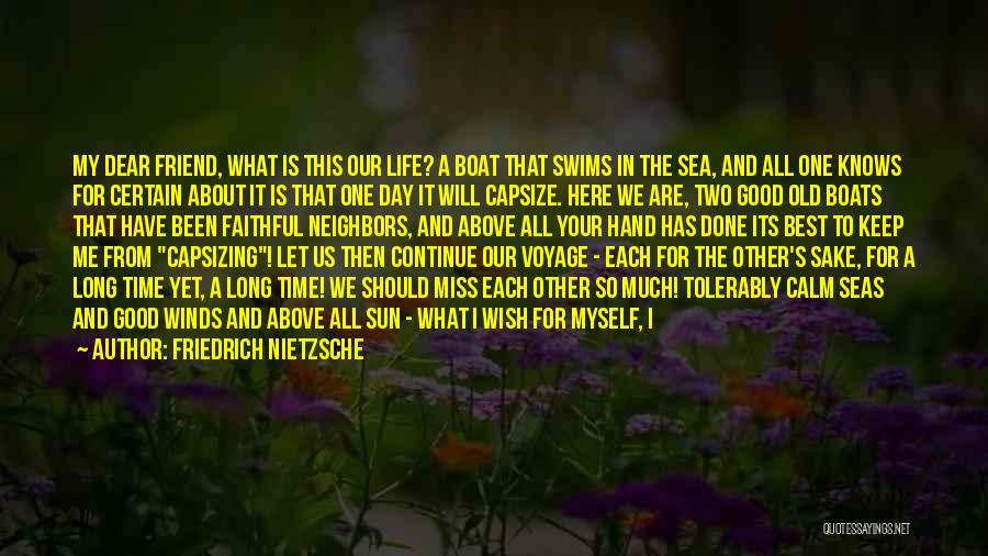 I Wish You Miss Me Quotes By Friedrich Nietzsche
