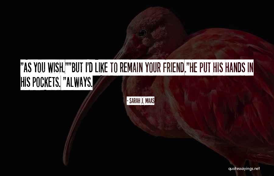 I Wish You Quotes By Sarah J. Maas